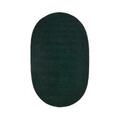 Better Trends 3.6 x 5.6 in. Chenille Reversible Rug - Emerald BRCR4266EG